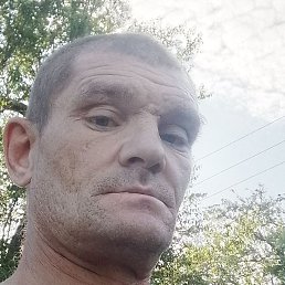 ������, ����, 41 ���