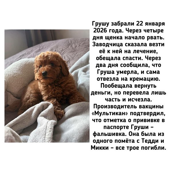 �� - ������������ ������ ������������ �� �������� ��������� (��������) �� ������ ����� (���������� ... - 9