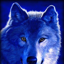 ���� �����, ���, 52 ���� - ��������� 17 ������ 2023