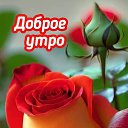 ���� �������, ���� - ��������� 16 ������ 2026 � ������ ������ ��������
