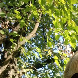 ����, ������, 48 ���