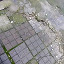 ���� ����������, ���������, 39 ��� - ��������� 4 ���� 2025 � ������ ���� ����������