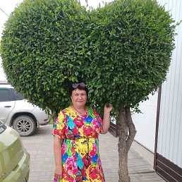 ���� ����, ��������, 61 ��� - ��������� 4 ��� 2026