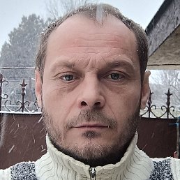 ����, �������, 41 ���