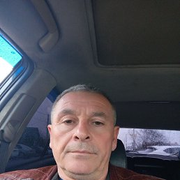 , 51 , 