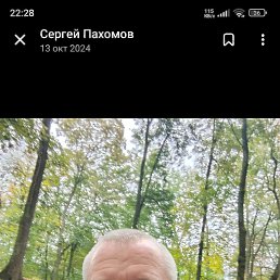 , 41, 