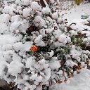 ���� �������, �������, 65 ��� - ��������� 9 ������� 2023 � ������ ���� ����������