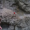 ���� Alena, ������, 24 ���� - ��������� 3 ���� 2026 � ������ ���� ����������