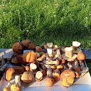 ���� �����, ���������, 65 ��� - ��������� 5 ������� 2025 � ������ ���� ����������