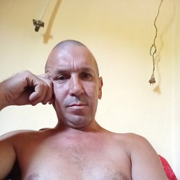  , 44, 