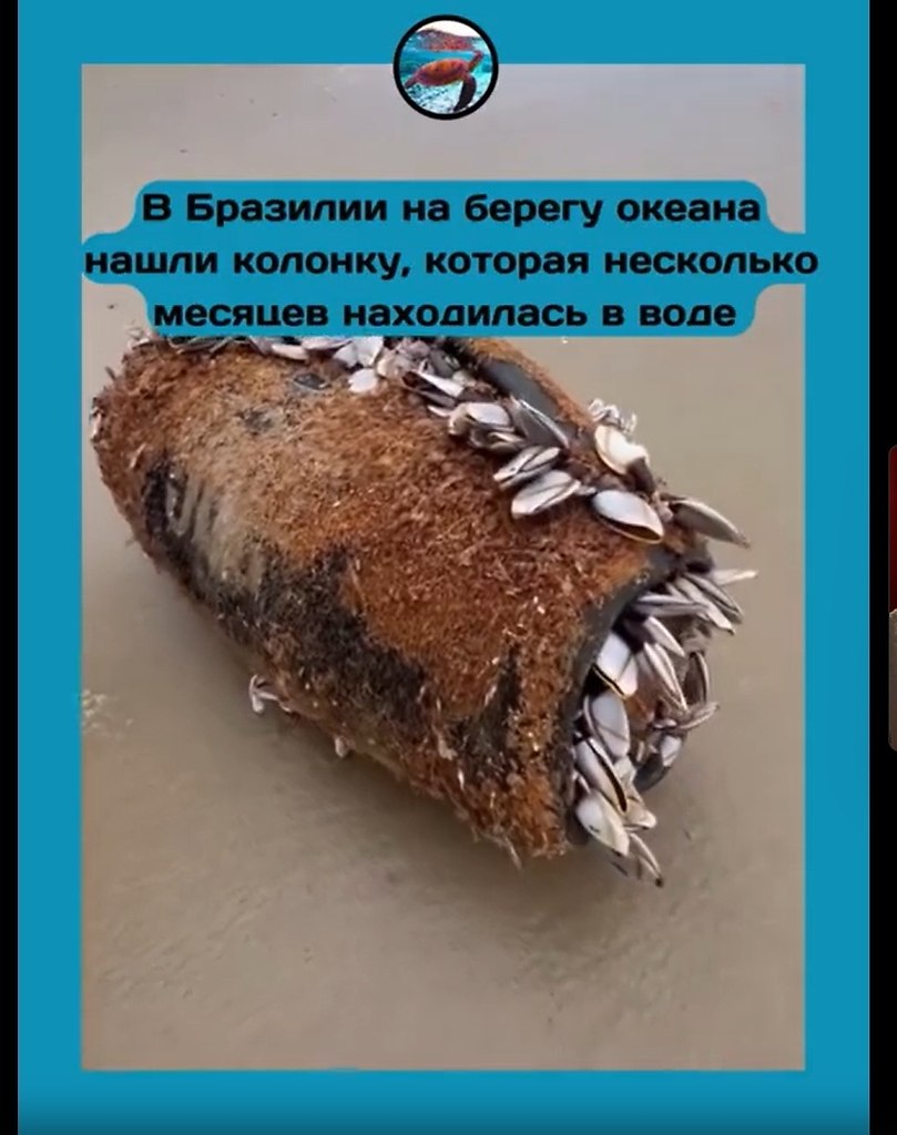 JBL �epe���a o�ea�: �o�o��a �p� �ec��a �e�a�a � co��o� �o�e � �������ac�.a �o�epe��e o�ea�a � ...
