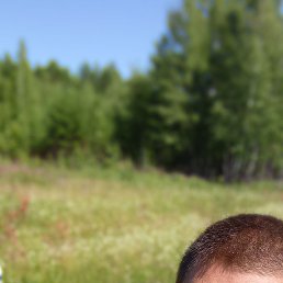 , 39, 
