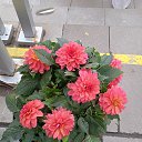 ���� ���������, ����� - ��������� 21 �������� 2025 � ������ ������ ������, �� ����������