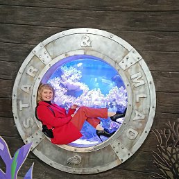 ��, �������, 57 ���