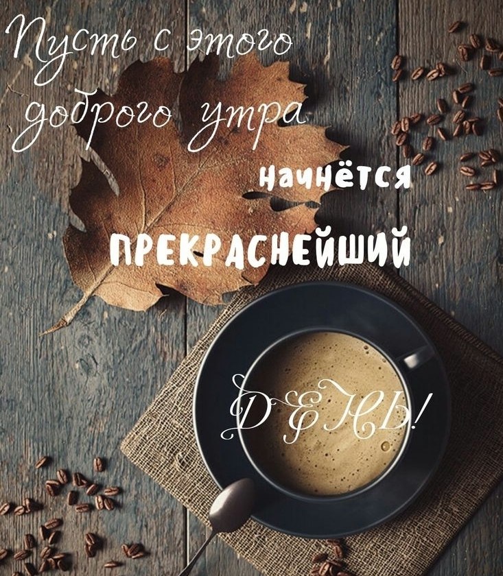   ,    . - 25  2025  00:35 - 2