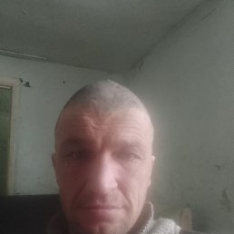 ������, �����������, 41 ���