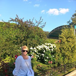 ������, �������, 67 ���