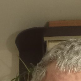 ������ ��������, ���������, 46 ���