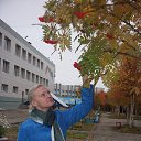  , -, 50  -  19  2025    