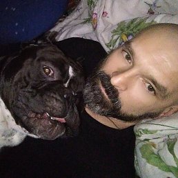 �������, �������, 47 ���