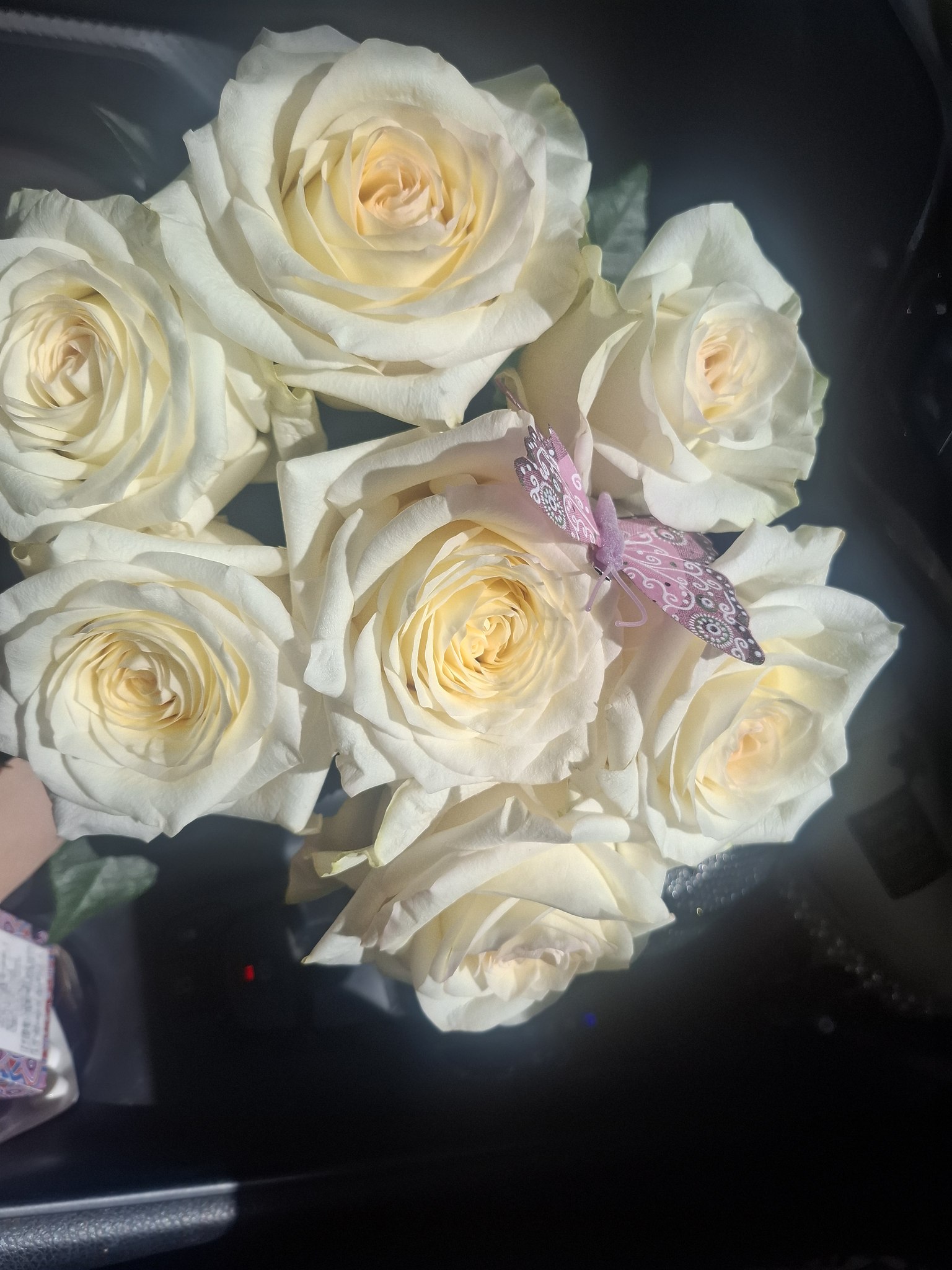 � ���� �������� ����