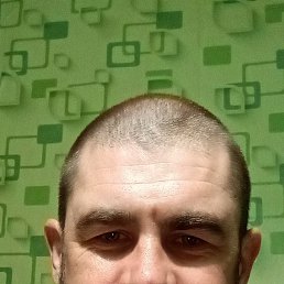  , 41,  