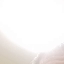 �����, ������, 39 ���