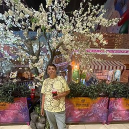 �������, ������, 68 ���