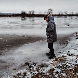 ������, ���������, 24 ����