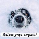 ���� ������, �������, 54 ���� - ��������� 26 ������� 2024