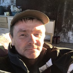 , 50, 