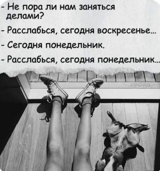 �������� ������ - 18 ��� 2026 � 01:39
