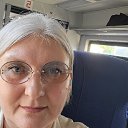 ���� ����, ����, 51 ��� - ��������� 22 ���� 2026 � ������ ���� ����������
