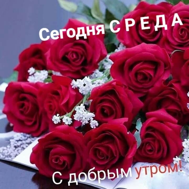 ����� �������� - 12 ����� 2025 � 17:55