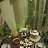 ���� ������, ����, 62 ���� - ��������� 22 ��� 2026