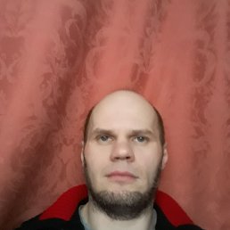 ���� ����, ������, 44 ���� - ��������� 27 ������ 2024