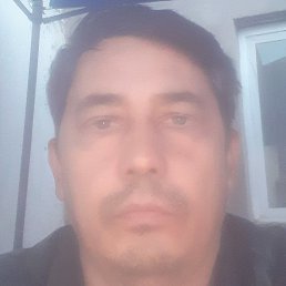 ��������, ������, 49 ���