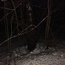 ���� �����, �������� - ��������� 19 ����� 2026 � ������ ���� ����������