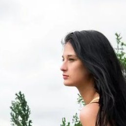 ���, ������������, 41 ���