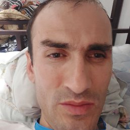 , 37, 