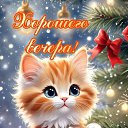 ���� ����, ������, 65 ��� - ��������� 15 ������ 2024 � ������ ���� ����������