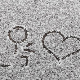 ���, �������, 25 ���