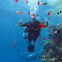 ���� ����� ����������, �������, 62 ���� - ��������� 11 �������� 2025 � ������ ���� ����������