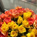 ���� ���������, �����-���������, 57 ��� - ��������� 2 ������� 2025 � ������ ���� ����������