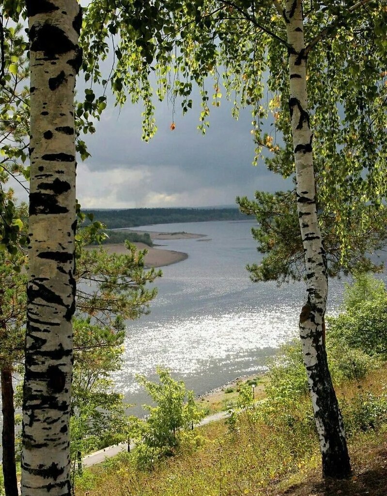    .  ,   ,      ,  ... - 2