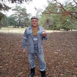 ПАВЕЛ, 51 год, Волгоград ПАВЕЛ, 51 год, Волгоград