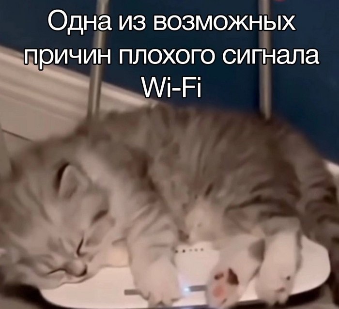 ��� ����� ����� ������� ������ � �������� � �� ����� ������? ��� ������ ������ �������? ��� Wi-Fi 6 ...