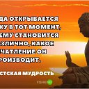 ���� ������, ���������, 61 ��� - ��������� 29 ���� 2025 � ������ ���� ����������