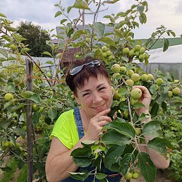 ���� ��������, ���������, 51 ��� - ��������� 25 ���� 2025