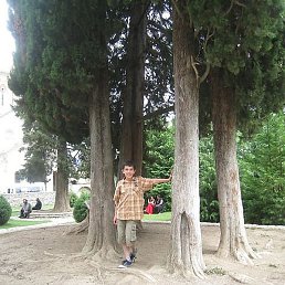 Giorgi, �������, 24 ����